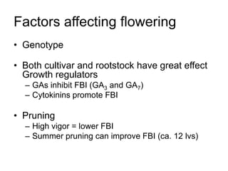 Apple Flowering and Fruit Quality | PPTX