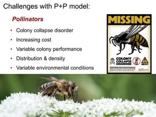 Apple Flowering and Fruit Quality | PPTX