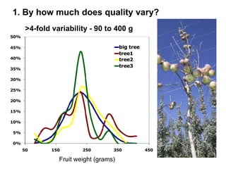Apple Flowering and Fruit Quality | PPTX