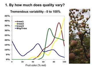 Apple Flowering and Fruit Quality | PPTX