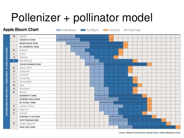 Avocado Cross Pollination Chart