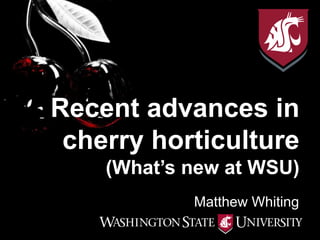Matthew Whiting
Recent advances in
cherry horticulture
(What’s new at WSU)
 