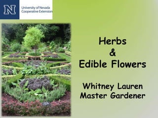 Herbs
&
Edible Flowers
Whitney Lauren
Master Gardener
 