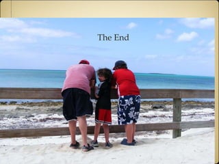 The End 
