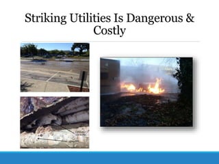 Whitney is dig in prevention training master | PPTX