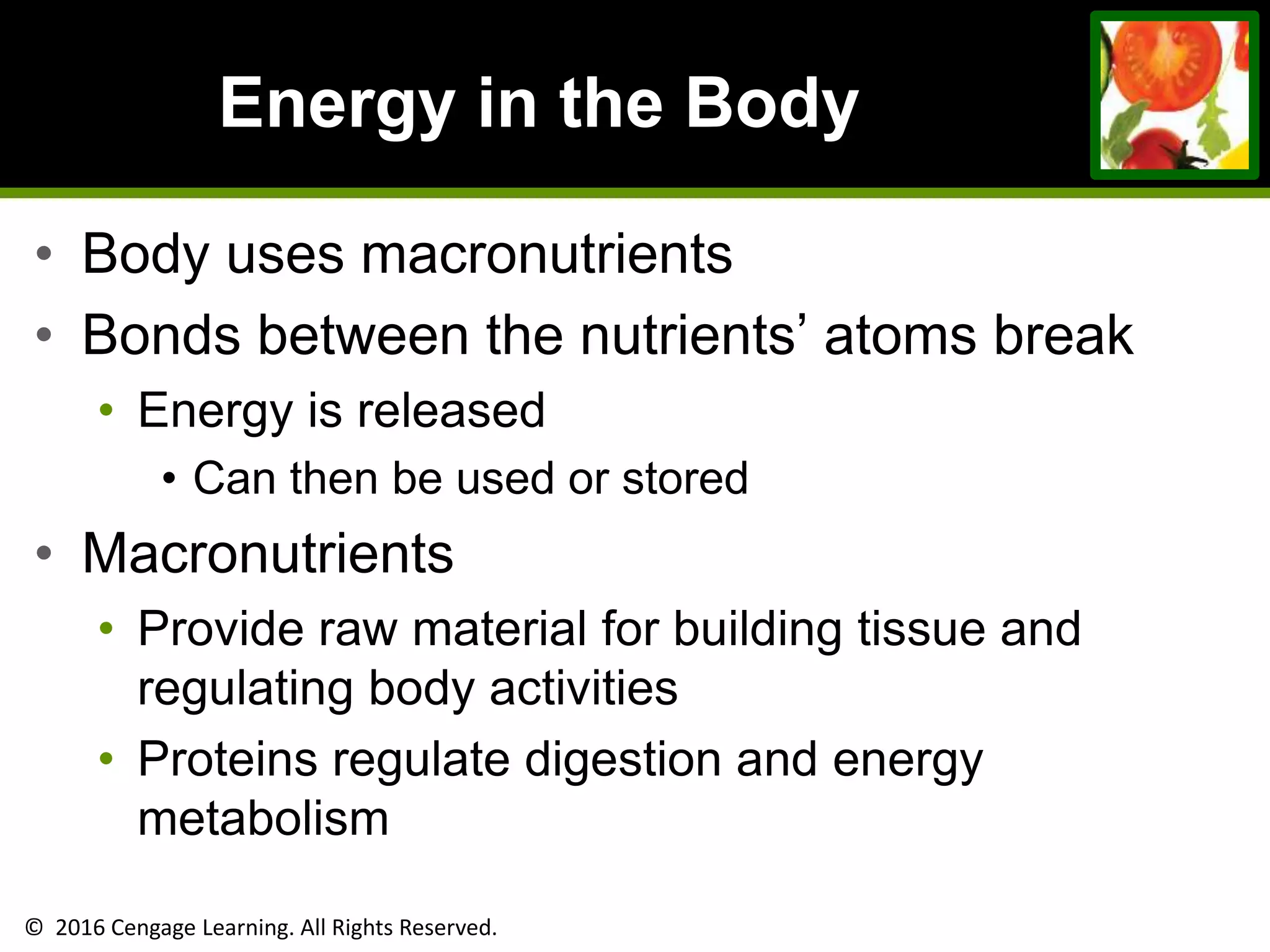 © 2016 Cengage Learning. All Rights Reserved.
Energy in the Body
• Body uses macronutrients
• Bonds between the nutrients’ atoms break
• Energy is released
• Can then be used or stored
• Macronutrients
• Provide raw material for building tissue and
regulating body activities
• Proteins regulate digestion and energy
metabolism
 