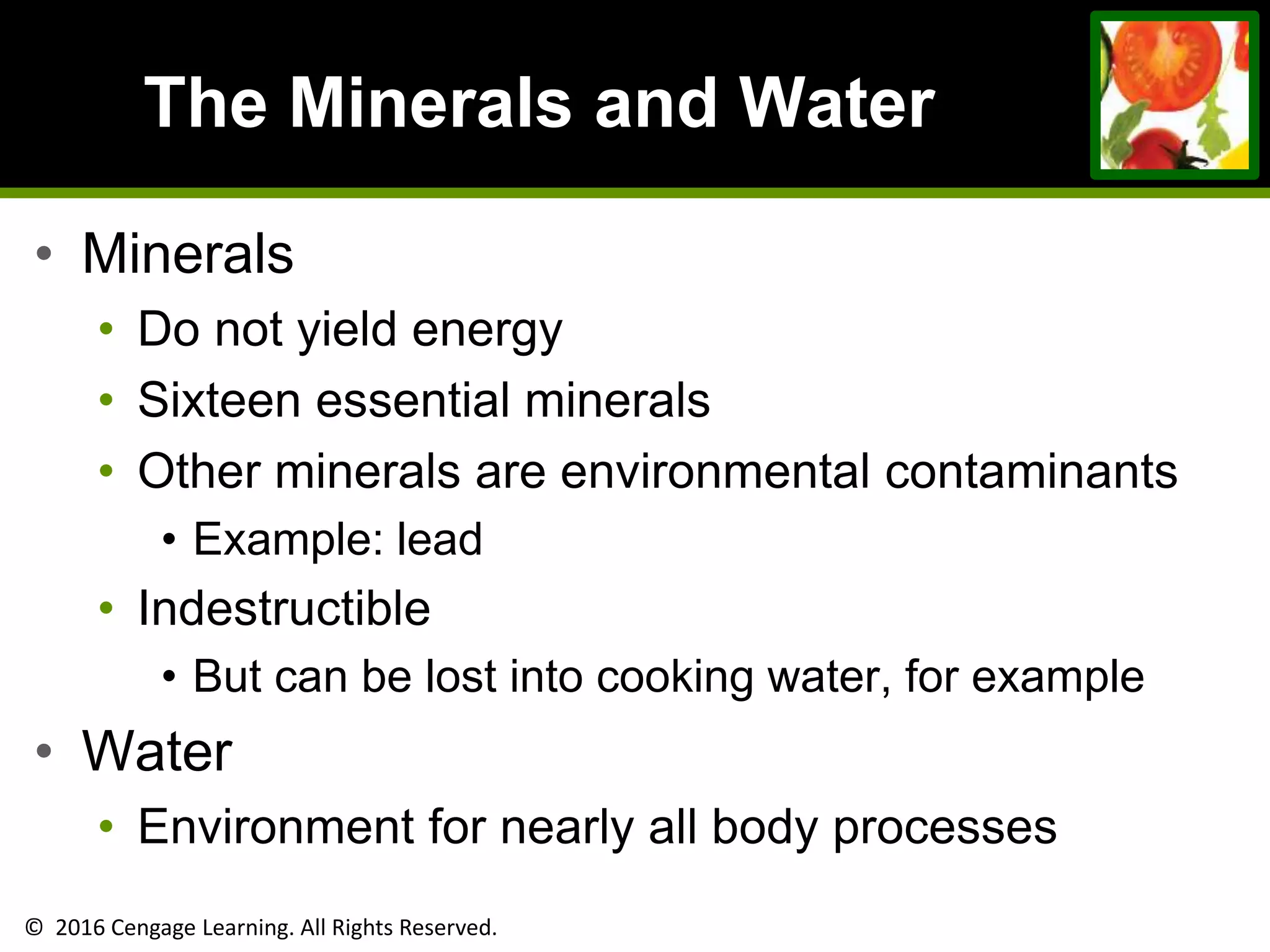 © 2016 Cengage Learning. All Rights Reserved.
The Minerals and Water
• Minerals
• Do not yield energy
• Sixteen essential minerals
• Other minerals are environmental contaminants
• Example: lead
• Indestructible
• But can be lost into cooking water, for example
• Water
• Environment for nearly all body processes
 