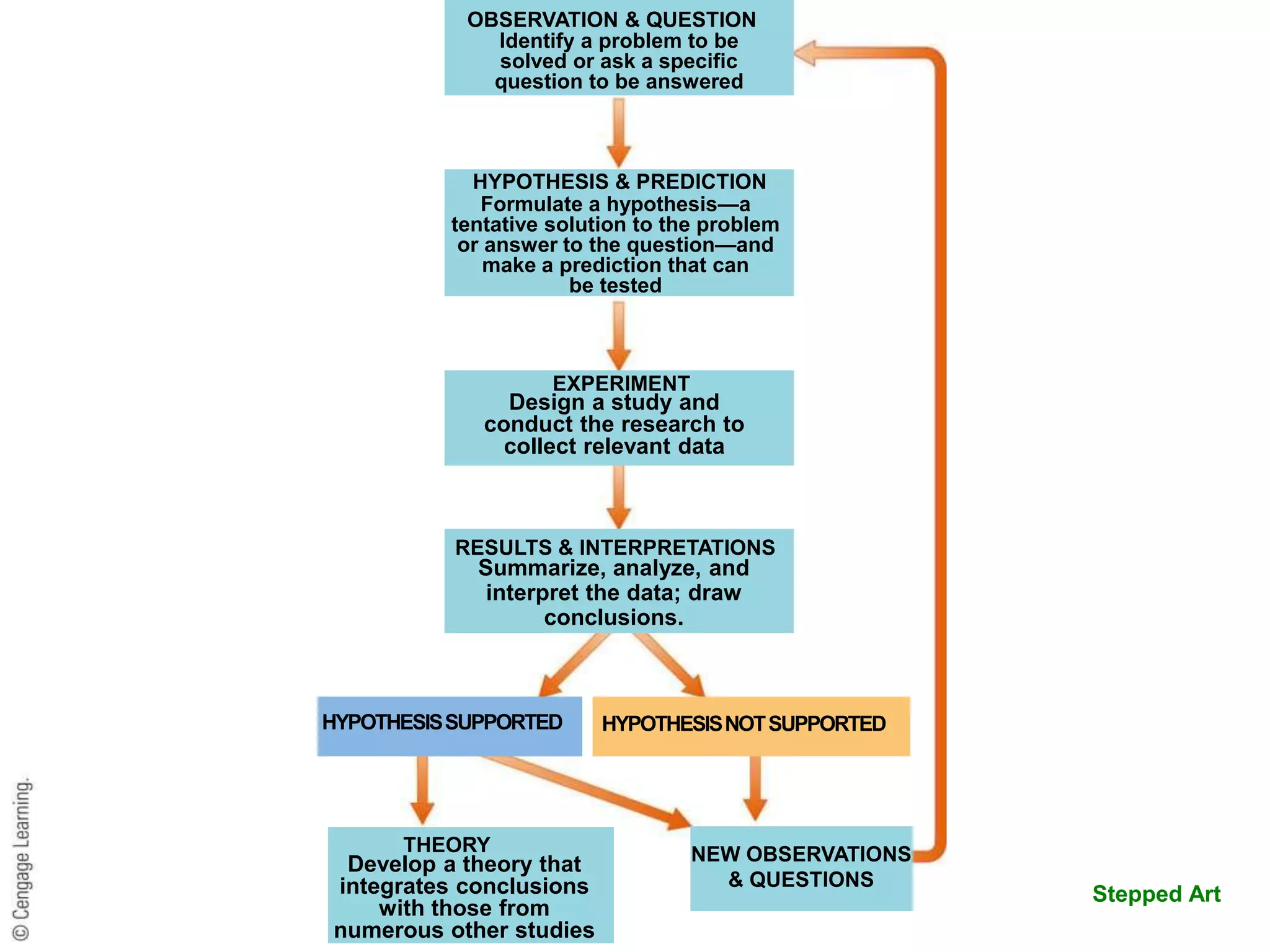Stepped Art
NEW OBSERVATIONS
& QUESTIONS
THEORY
Develop a theory that
integrates conclusions
with those from
numerous other studies
HYPOTHESISSUPPORTED HYPOTHESISNOTSUPPORTED
HYPOTHESIS & PREDICTION
Formulate a hypothesis—a
tentative solution to the problem
or answer to the question—and
make a prediction that can
be tested
Identify a problem to be
solved or ask a specific
question to be answered
OBSERVATION & QUESTION
RESULTS & INTERPRETATIONS
Summarize, analyze, and
interpret the data; draw
conclusions.
EXPERIMENT
Design a study and
conduct the research to
collect relevant data
 