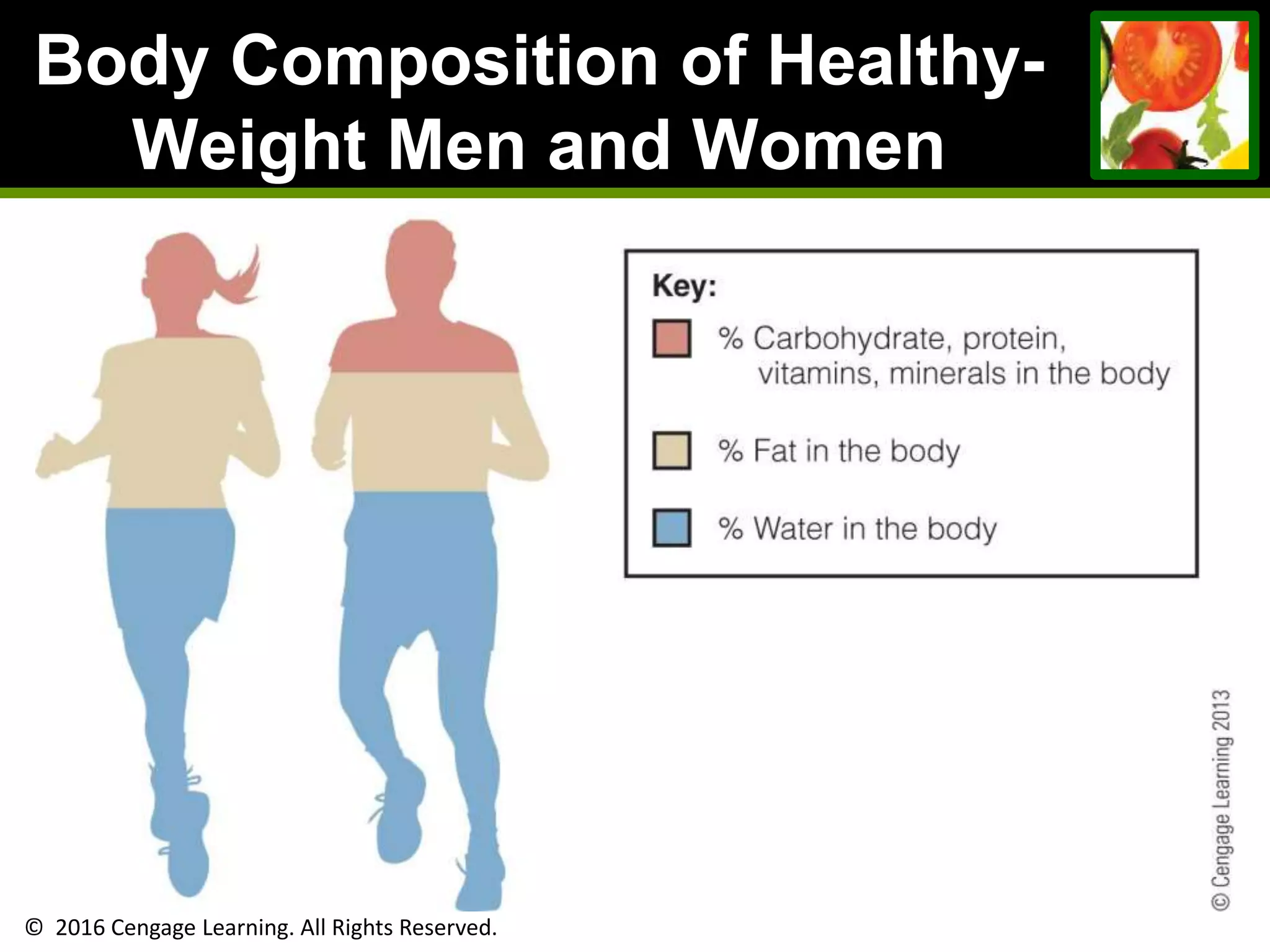© 2016 Cengage Learning. All Rights Reserved.
Body Composition of Healthy-
Weight Men and Women
 