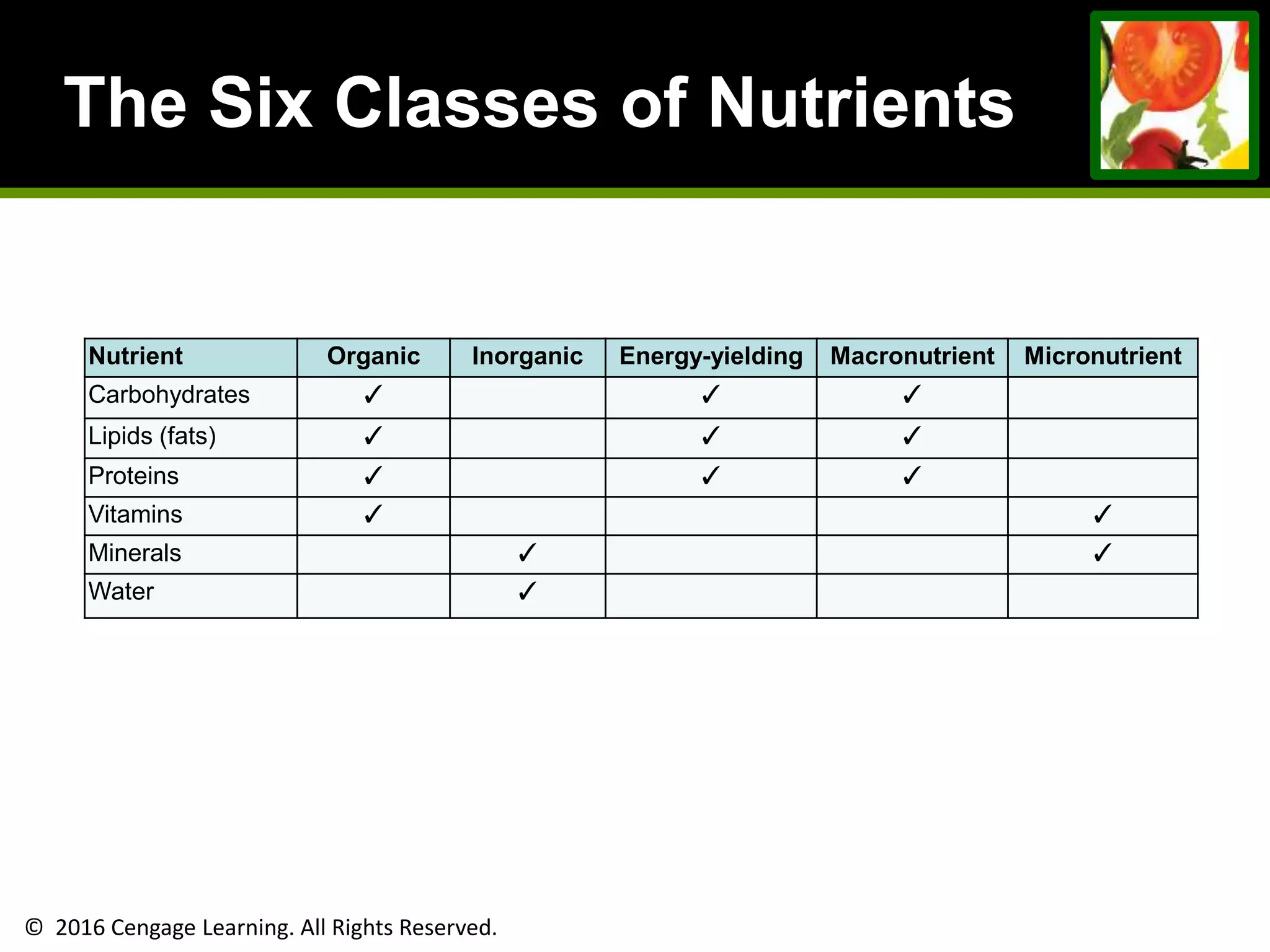 © 2016 Cengage Learning. All Rights Reserved.
The Six Classes of Nutrients
Nutrient Organic Inorganic Energy-yielding Macronutrient Micronutrient
Carbohydrates ✓ ✓ ✓
Lipids (fats) ✓ ✓ ✓
Proteins ✓ ✓ ✓
Vitamins ✓ ✓
Minerals ✓ ✓
Water ✓
 