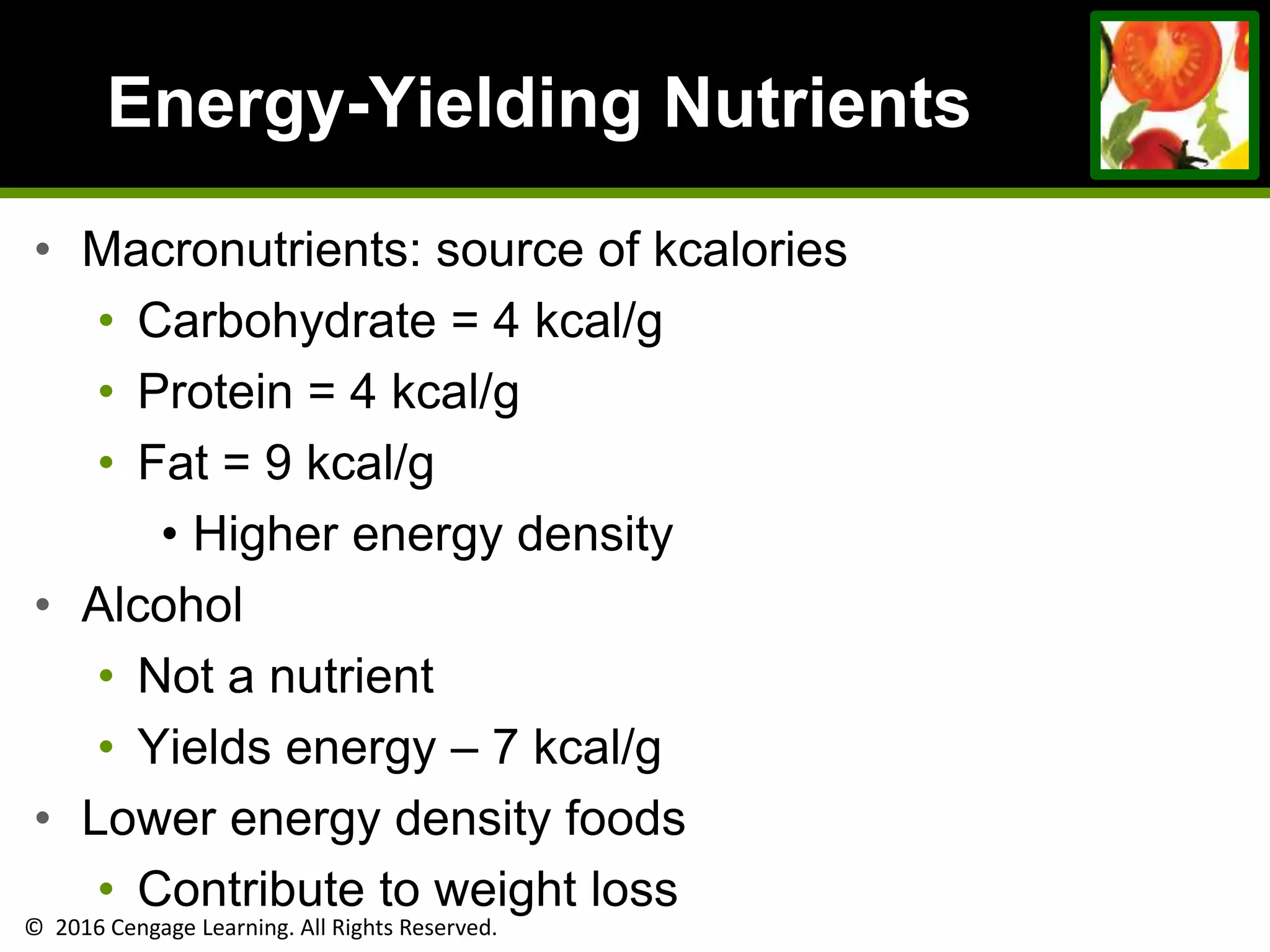 © 2016 Cengage Learning. All Rights Reserved.
Energy-Yielding Nutrients
• Macronutrients: source of kcalories
• Carbohydrate = 4 kcal/g
• Protein = 4 kcal/g
• Fat = 9 kcal/g
• Higher energy density
• Alcohol
• Not a nutrient
• Yields energy – 7 kcal/g
• Lower energy density foods
• Contribute to weight loss
 