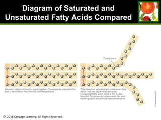 © 2016 Cengage Learning. All Rights Reserved.
Diagram of Saturated and
Unsaturated Fatty Acids Compared
 