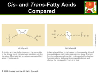 © 2016 Cengage Learning. All Rights Reserved.
Cis- and Trans-Fatty Acids
Compared
 