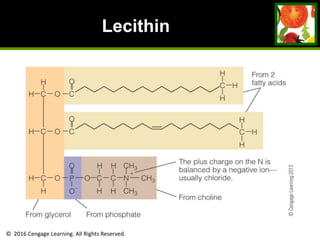 © 2016 Cengage Learning. All Rights Reserved.
Lecithin
 