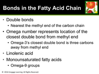 © 2016 Cengage Learning. All Rights Reserved.
Bonds in the Fatty Acid Chain
• Double bonds
• Nearest the methyl end of the carbon chain
• Omega number represents location of the
closest double bond from methyl end
• Omega-3’s closest double bond is three carbons
away from methyl end
• Linolenic acid
• Monounsaturated fatty acids
• Omega-9 groups
 