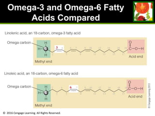 © 2016 Cengage Learning. All Rights Reserved.
Omega-3 and Omega-6 Fatty
Acids Compared
 