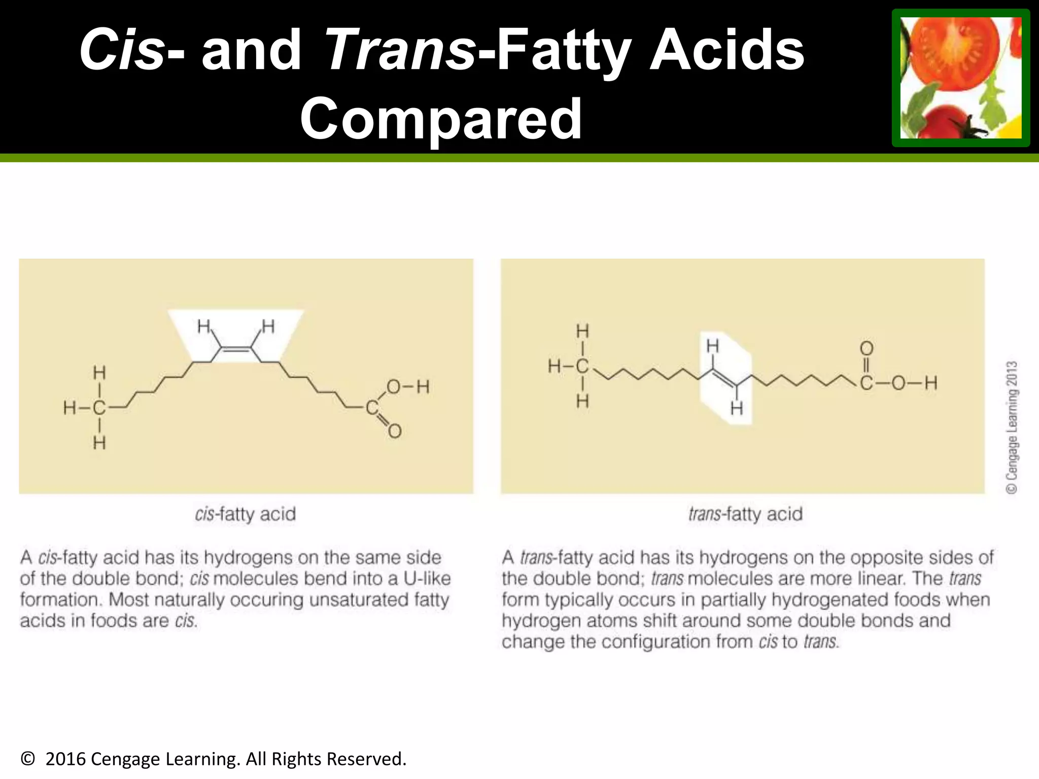 © 2016 Cengage Learning. All Rights Reserved.
Cis- and Trans-Fatty Acids
Compared
 