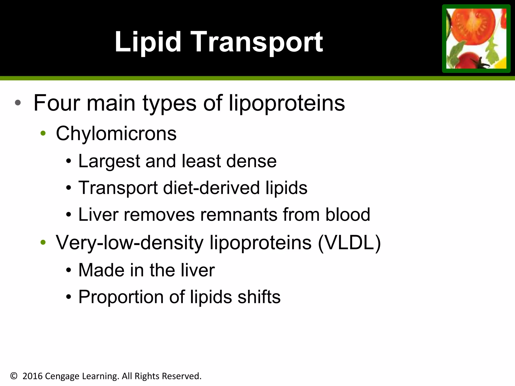 © 2016 Cengage Learning. All Rights Reserved.
Lipid Transport
• Four main types of lipoproteins
• Chylomicrons
• Largest and least dense
• Transport diet-derived lipids
• Liver removes remnants from blood
• Very-low-density lipoproteins (VLDL)
• Made in the liver
• Proportion of lipids shifts
 