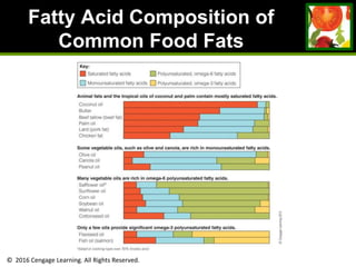© 2016 Cengage Learning. All Rights Reserved.
Fatty Acid Composition of
Common Food Fats
 