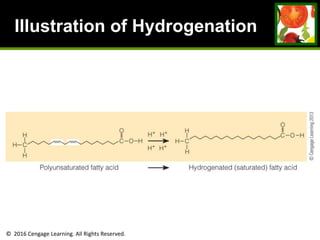 © 2016 Cengage Learning. All Rights Reserved.
Illustration of Hydrogenation
 