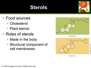 © 2016 Cengage Learning. All Rights Reserved.
Sterols
• Food sources
• Cholesterol
• Plant sterols
• Roles of sterols
• Made in the body
• Structural component of
cell membranes
 