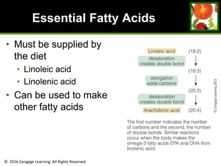 © 2016 Cengage Learning. All Rights Reserved.
Essential Fatty Acids
• Must be supplied by
the diet
• Linoleic acid
• Linolenic acid
• Can be used to make
other fatty acids
 