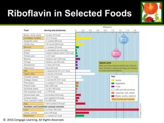 © 2016 Cengage Learning. All Rights Reserved.
Riboflavin in Selected Foods
Food
(Best Source per
kclalorie)
Serving Size (kcalories) Food Group Approximate Amount
of Riboflavin
(milligrams)
Bread, whole wheat 1 oz slice (70 kcal) Grains 0.05
Cornflakes, fortified 1 oz (110 kcal) Grains 0.43
Spaghetti pasta ½ c cooked (99 kcal) Grains 0.06
Tortilla, flour 1 10"-round (234 kcal) Grains 0.21
Broccoli ½ c cooked (22 kcal) Vegetables 0.09
Carrots ½ c shredded raw (24 kcal) Vegetables 0.03
Potato 1 medium baked w/skin (133 kcal) Vegetables 0.04
Tomato juice ¾ c (31 kcal) Vegetables 0.05
Banana 1 medium raw (109 kcal) Fruits 0.12
Orange 1 medium raw (62 kcal) Fruits 0.06
Strawberries ½ c fresh (22 kcal) Fruits 0.06
Watermelon 1 slice (92 kcal) Fruits 0.07
Milk 1 c reduced-fat 2% (121 kcal) Milk and milk products 0.40
Yogurt, plain 1 c low-fat (155 kcal) Milk and milk products 0.53
Cheddar cheese 1½ oz (171 kcal) Milk and milk products 0.18
Cottage cheese ½ c low-fat 2% (101 kcal) Milk and milk products 0.21
Pinto beans ½ c cooked (117 kcal) Legumes, nuts, seeds 0.09
Peanut butter 2 tbs (188 kcal) Legumes, nuts, seeds 0.08
Sunflower seeds 1 oz dry (165 kcal) Legumes, nuts, seeds 0.06
Tofu (soybean curd) ½ c (76 kcal) Legumes, nuts, seeds 0.03
Ground beef, lean 3 oz broiled (244 kcal) Meats, poultry, seafood 0.15
Chicken breast 3 oz roasted (140 kcal) Meats, poultry, seafood 0.12
Tuna, canned in water 3 oz (99 kcal) Meats, poultry, seafood 0.07
Egg 1 hard cooked (78 kcal) Meats, poultry, seafood 0.26
Excellent, and sometimes unusual, sources:
Liver 3 oz fried (184 kcal) Meats, poultry, seafood 1.70+
Clams, canned 3 oz (126 kcal) Meats, poultry, seafood 0.34
Mushrooms ½ c cooked (21 kcal) Vegetables 0.23
 