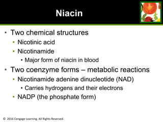 © 2016 Cengage Learning. All Rights Reserved.
Niacin
• Two chemical structures
• Nicotinic acid
• Nicotinamide
• Major form of niacin in blood
• Two coenzyme forms – metabolic reactions
• Nicotinamide adenine dinucleotide (NAD)
• Carries hydrogens and their electrons
• NADP (the phosphate form)
 