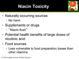 © 2016 Cengage Learning. All Rights Reserved.
Niacin Toxicity
• Naturally occurring sources
• No harm
• Supplements or drugs
• “Niacin flush”
• Potential health benefits of large doses of
nicotinic acid
• Food sources
• Less vulnerable to food preparation losses than
other vitamins
 