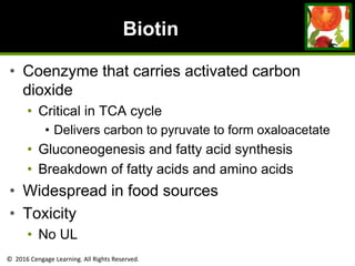 © 2016 Cengage Learning. All Rights Reserved.
Biotin
• Coenzyme that carries activated carbon
dioxide
• Critical in TCA cycle
• Delivers carbon to pyruvate to form oxaloacetate
• Gluconeogenesis and fatty acid synthesis
• Breakdown of fatty acids and amino acids
• Widespread in food sources
• Toxicity
• No UL
 