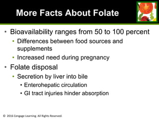 © 2016 Cengage Learning. All Rights Reserved.
More Facts About Folate
• Bioavailability ranges from 50 to 100 percent
• Differences between food sources and
supplements
• Increased need during pregnancy
• Folate disposal
• Secretion by liver into bile
• Enterohepatic circulation
• GI tract injuries hinder absorption
 