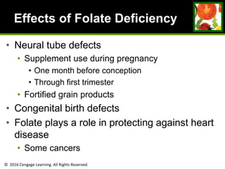 © 2016 Cengage Learning. All Rights Reserved.
Effects of Folate Deficiency
• Neural tube defects
• Supplement use during pregnancy
• One month before conception
• Through first trimester
• Fortified grain products
• Congenital birth defects
• Folate plays a role in protecting against heart
disease
• Some cancers
 