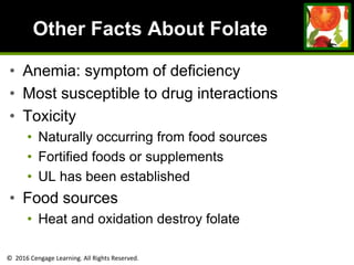 © 2016 Cengage Learning. All Rights Reserved.
Other Facts About Folate
• Anemia: symptom of deficiency
• Most susceptible to drug interactions
• Toxicity
• Naturally occurring from food sources
• Fortified foods or supplements
• UL has been established
• Food sources
• Heat and oxidation destroy folate
 