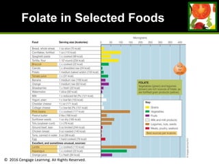 © 2016 Cengage Learning. All Rights Reserved.
Folate in Selected Foods
Food
(Best Source per
kclalorie)
Serving Size (kcalories) Food Group Approximate Amount
of Folate (micrograms)
Bread, whole wheat 1 oz slice (70 kcal) Grains 15
Cornflakes, fortified 1 oz (110 kcal) Grains 100
Spaghetti pasta ½ c cooked (99 kcal) Grains 49
Tortilla, flour 1 10"-round (234 kcal) Grains 85
Broccoli ½ c cooked (22 kcal) Vegetables 40
Carrots ½ c shredded raw (24 kcal) Vegetables 10
Potato 1 medium baked w/skin (133 kcal) Vegetables 15
Tomato juice ½ c (31 kcal) Vegetables 38
Banana 1 medium raw (109 kcal) Fruits 23
Orange 1 medium raw (62 kcal) Fruits 40
Strawberries ½ c fresh (22 kcal) Fruits 15
Watermelon 1 slice (92 kcal) Fruits 8
Milk 1 c reduced-fat 2% (121 kcal) Milk and milk products 15
Yogurt, plain 1 c low-fat (155 kcal) Milk and milk products 25
Cheddar cheese 1½ oz (171 kcal) Milk and milk products 10
Cottage cheese ½ c low-fat 2% (101 kcal) Milk and milk products 15
Pinto beans ½ c cooked (117 kcal) Legumes, nuts, seeds 158
Peanut butter 2 tbs (188 kcal) Legumes, nuts, seeds 30
Sunflower seeds 1 oz dry (165 kcal) Legumes, nuts, seeds 70
Tofu (soybean curd) ½ c (76 kcal) Legumes, nuts, seeds 55
Ground beef, lean 3 oz broiled (244 kcal) Meats, poultry, seafood 10
Chicken breast 3 oz roasted (140 kcal) Meats, poultry, seafood 5
Tuna, canned in water 3 oz (99 kcal) Meats, poultry, seafood 5
Egg 1 hard cooked (78 kcal) Meats, poultry, seafood 20
Excellent, and sometimes unusual, sources:
Lentils ½ c cooked (115 kcal) Legumes, nuts, seeds 180
Asparagus ½ c cooked (22 kcal) Vegetables 130
Orange juice ¾ c fresh (84 kcal) Fruits 56
 