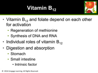 © 2016 Cengage Learning. All Rights Reserved.
Vitamin B12
• Vitamin B12 and folate depend on each other
for activation
• Regeneration of methionine
• Synthesis of DNA and RNA
• Individual roles of vitamin B12
• Digestion and absorption
• Stomach
• Small intestine
• Intrinsic factor
 