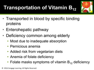 © 2016 Cengage Learning. All Rights Reserved.
Transportation of Vitamin B12
• Transported in blood by specific binding
proteins
• Enterohepatic pathway
• Deficiency common among elderly
• Most due to inadequate absorption
• Pernicious anemia
• Added risk from vegetarian diets
• Anemia of folate deficiency
• Folate masks symptoms of vitamin B12 deficiency
 