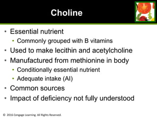 © 2016 Cengage Learning. All Rights Reserved.
Choline
• Essential nutrient
• Commonly grouped with B vitamins
• Used to make lecithin and acetylcholine
• Manufactured from methionine in body
• Conditionally essential nutrient
• Adequate intake (AI)
• Common sources
• Impact of deficiency not fully understood
 