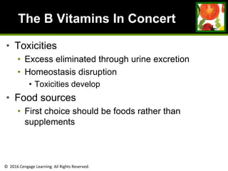 © 2016 Cengage Learning. All Rights Reserved.
The B Vitamins In Concert
• Toxicities
• Excess eliminated through urine excretion
• Homeostasis disruption
• Toxicities develop
• Food sources
• First choice should be foods rather than
supplements
 