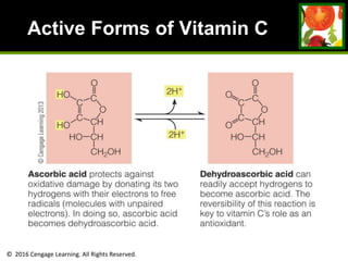 © 2016 Cengage Learning. All Rights Reserved.
Active Forms of Vitamin C
 