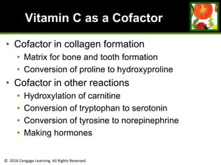 © 2016 Cengage Learning. All Rights Reserved.
Vitamin C as a Cofactor
• Cofactor in collagen formation
• Matrix for bone and tooth formation
• Conversion of proline to hydroxyproline
• Cofactor in other reactions
• Hydroxylation of carnitine
• Conversion of tryptophan to serotonin
• Conversion of tyrosine to norepinephrine
• Making hormones
 