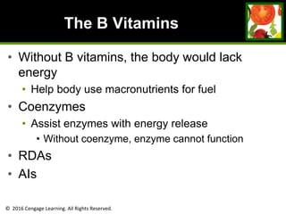 © 2016 Cengage Learning. All Rights Reserved.
The B Vitamins
• Without B vitamins, the body would lack
energy
• Help body use macronutrients for fuel
• Coenzymes
• Assist enzymes with energy release
• Without coenzyme, enzyme cannot function
• RDAs
• AIs
 