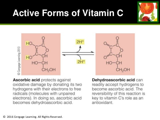 Chapter 10 Water Soluble Vitamins