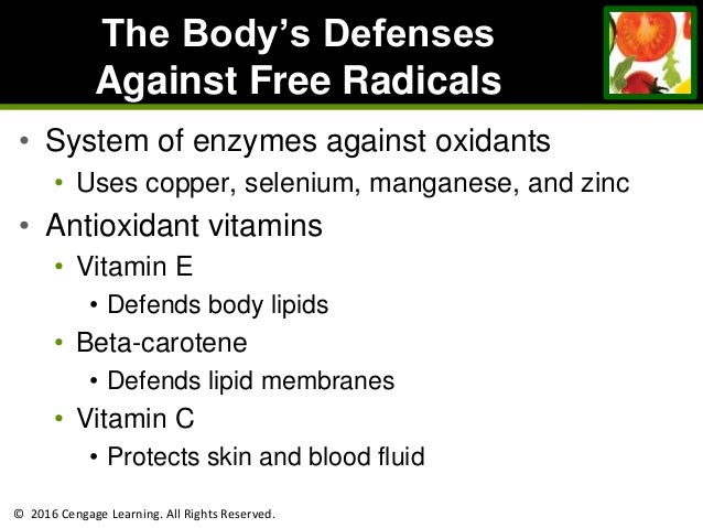 Chapter 11 Fat Soluble Vitamins