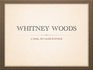WHITNEY WOODS 
a trail, by caleb slotnick 
 