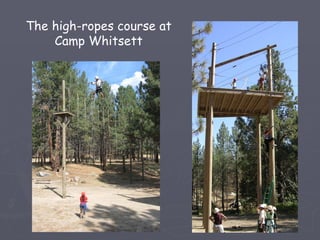 The high-ropes course at
    Camp Whitsett
 