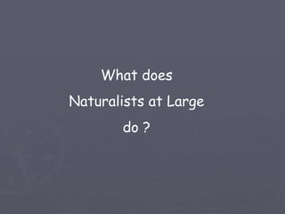 What does
Naturalists at Large
       do ?
 