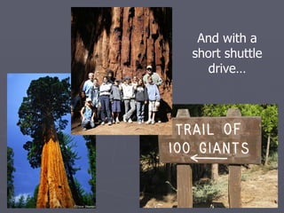 And with a
short shuttle
   drive…
 