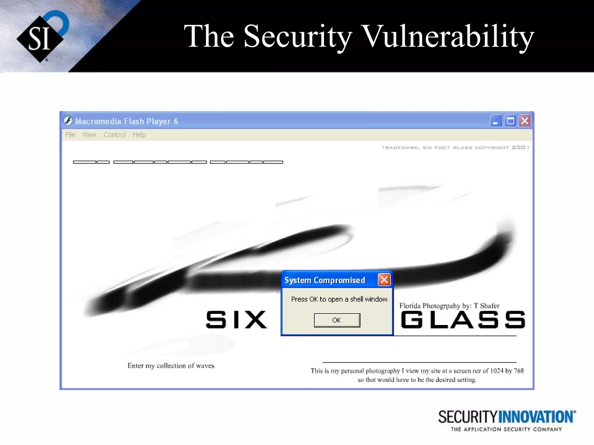 The Security Vulnerability 