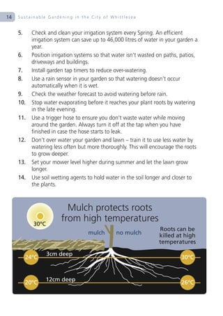 14   Sustainable Gardening in the City of Whittlesea


     5.     Check and clean your irrigation system every Spring. An efficient
            irrigation system can save up to 46,000 litres of water in your garden a
            year.
     6.     Position irrigation systems so that water isn’t wasted on paths, patios,
            driveways and buildings.
     7.     Install garden tap timers to reduce over-watering.
     8.     Use a rain sensor in your garden so that watering doesn’t occur
            automatically when it is wet.
     9.     Check the weather forecast to avoid watering before rain.
     10.    Stop water evaporating before it reaches your plant roots by watering
            in the late evening.
     11.    Use a trigger hose to ensure you don’t waste water while moving
            around the garden. Always turn it off at the tap when you have
            finished in case the hose starts to leak.
     12.    Don’t over water your garden and lawn – train it to use less water by
            watering less often but more thoroughly. This will encourage the roots
            to grow deeper.
     13.    Set your mower level higher during summer and let the lawn grow
            longer.
     14.    Use soil wetting agents to hold water in the soil longer and closer to
            the plants.



                          Mulch protects roots
            30ºC
                        from high temperatures
                                                                   Roots can be
                                    mulch       no mulch           killed at high
                                                                   temperatures

                   3cm deep
          24ºC                                                              30ºC


                  12cm deep
          20ºC                                                              26ºC
 