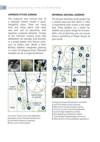 20   Sustainable Gardening in the City of Whittlesea


     JAPANESE-STYLED GARDEN                           INFORMAL NATURAL GARDENS
     The sculptural and minimal look of               The famous Australian bush garden has
     a Japanese Garden creates a quiet,               a relaxed easy-care feel about it. Here
     thoughtful place. There are many                 a meandering path crosses a dry creek
     local and native plants that work                bed. These gardens are a haven for
     very well and sit beautifully with               wildlife and a great refuge for humans.
     Japanese sculptural elements. Clumps             With a bit of planning, you can ensure
     of the Common Tussock Grass (Poa                 there is something in flower almost all
     labillardieri), for example, look dramatic       year round.
     in a gravel garden with feature rocks,
     such as shown here. Whilst a Silver
     Banksia (Banksia marginata) growing                                                    3
                                                                              2
     in a lawn of Kangaroo Grass (Themeda
     triandra) can be a sculptural element.                   1
                                                                                        5           5




                                                                   large                        6
                                                        4      5 stepping
                                                                   stone               8
                                                                                  gravel path
                                                                   dry
                                                                  creek
                        2                  3                       bed            7


       water
      feature

                                   raked sand
                                    or gravel
                   1
                                     stepping         1 Drooping Sheoke (Allocasuarina verticillata)
                                      stones          2 Gold Dust Wattle (Acacia acinacea)
        deck                                          3 Black-anther Flax-lily (Dianella revoluta)
                               1                  4
                                                      4 Common Tussock Grass (Poa labillardieri)
                                                      5 Austral Indigo (Indigofera australis)
                                                      6 River Bottlebrush (Callistemon sieberi)
     1 Common Tussock Grass (Poa labillardieri)       7 Tufted Bluebell (Wahlenbergia communis)
     2 Kangaroo Grass (Themeda triandra) lawn         8 Yellow Buttons (Chryscocephalum apiculatum)
     3 Silver Banksia (Banksia marginata)
     4 Rock Correa (Correa glabra)
 